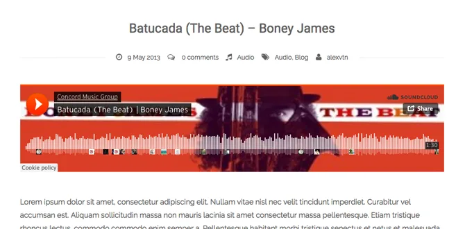 sueva-audio-post